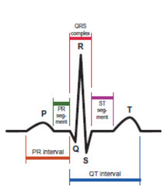 <p>heart’s electrical impulses can be detected on the body’s surface by placing electrodes on the skin on opposite sides of the heart; incredibly powerful tools for assessing the status of a patient’s heart</p>