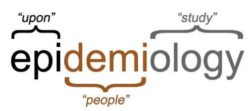 <p>Epi (on/upon) + demos (people) + logos (study of)</p>