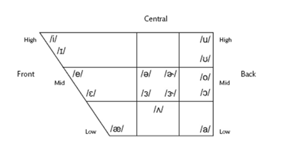 <p>What is this an image of?</p>