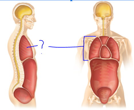 <p>(?)</p>