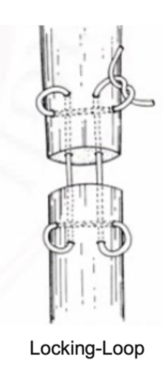 <p>what ligament/tendon suture pattern is shown here that is ideal for flat tendon/ligaments</p>