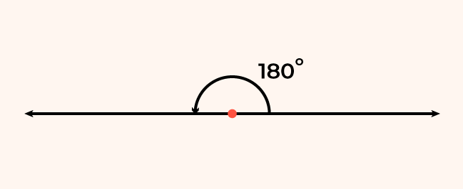 <p>An angle equal to 180 degrees.</p>