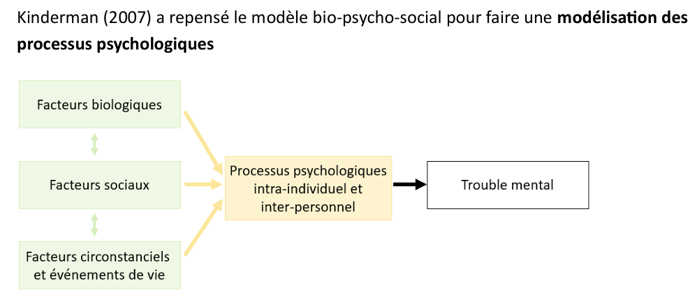 <p>L’approche processuelle consiste à ne pas seulement chercher <strong>quel trouble une personne a</strong>, mais à comprendre <strong>comment ce trouble s’est construit et se maintient</strong> à travers différents processus psychologiques.</p>