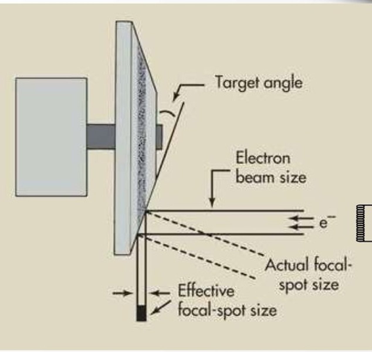 <p>- Portion of anode where electrons impact<br>- Where x-ray photons are created<br>- Pont SID is measured from</p>