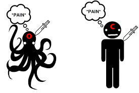 <p><span style="font-family: Arial, sans-serif">(mind vs body) mental states can be <mark data-color="yellow">felt and expressed</mark></span><strong><em><span style="font-family: Arial, sans-serif"><mark data-color="yellow"> across species</mark></span></em></strong></p><ul><li><p><span style="font-family: Arial, sans-serif">Ex: chess (able to be played <mark data-color="blue">online, virtually, mentally</mark>)</span></p></li><li><p><em><span style="font-family: Arial, sans-serif">Relation to the mind</span></em><span style="font-family: Arial, sans-serif">:</span></p><ul><li><p><span style="font-family: Arial, sans-serif"><mark data-color="red">Whether the mind can be physically instantiated in more than one way</mark></span></p></li></ul></li></ul>