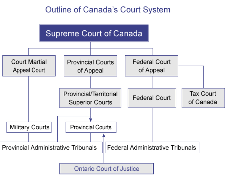 <p>Court System </p>