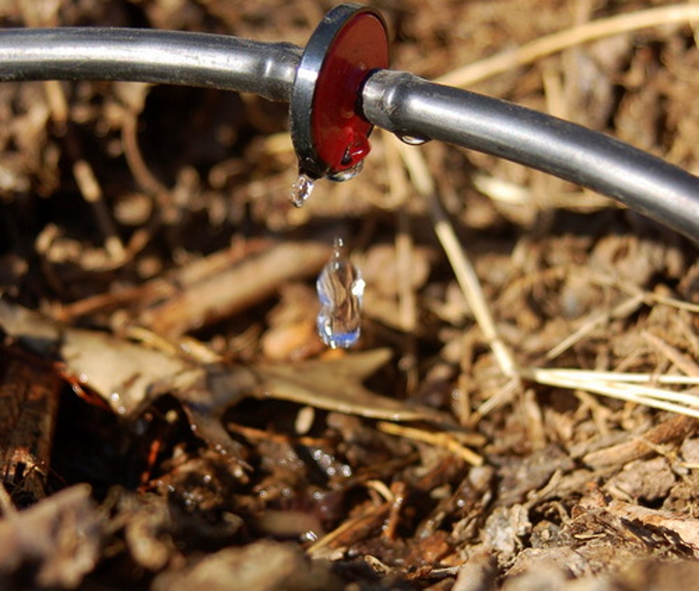 <p>slowly dripping water through hoses directly near a plants roots.</p>