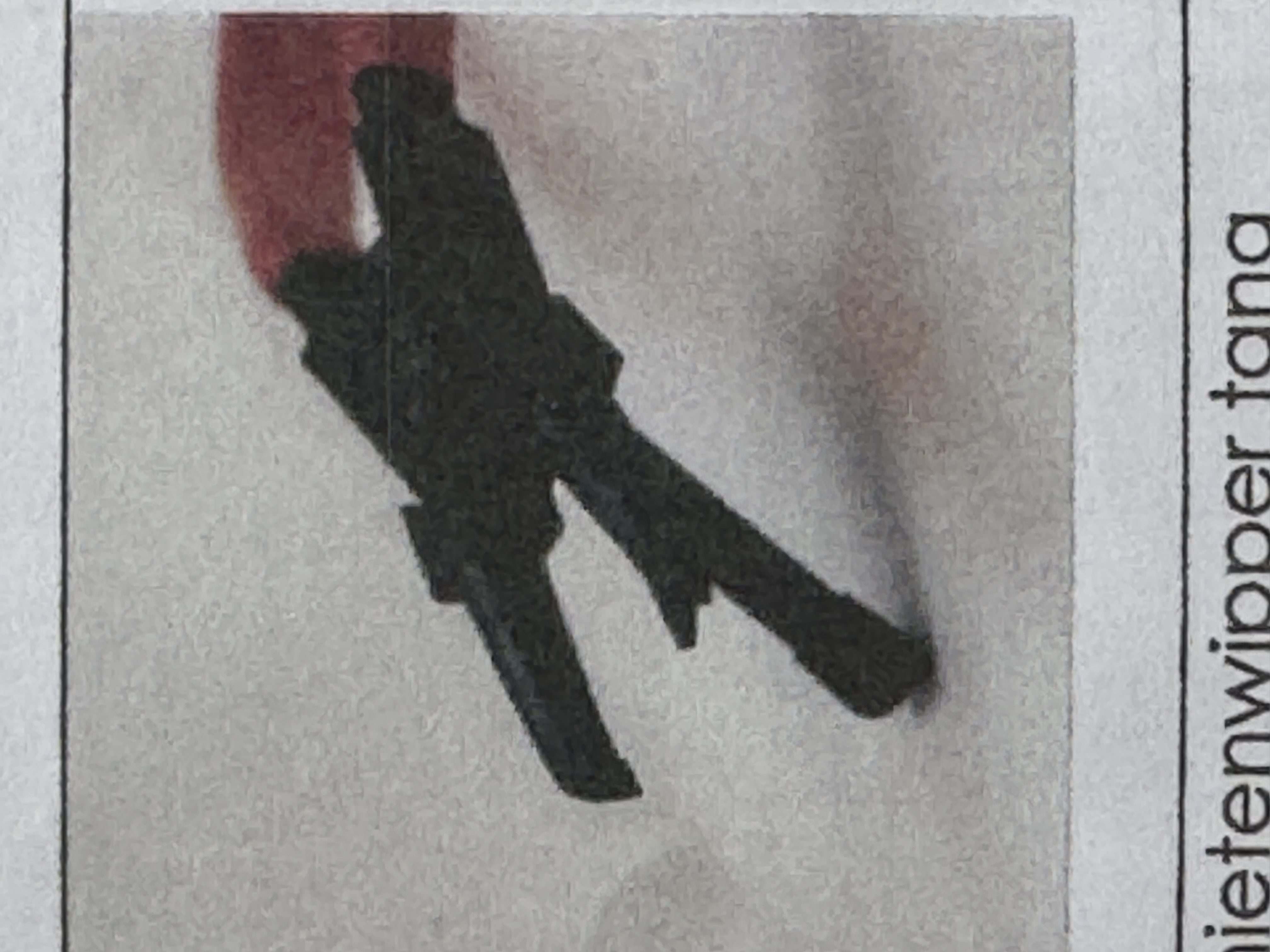 term image