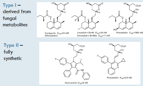 <p>Type I- from fungal metabolites (e.g. Pravastatin)</p><p>Type II- fully synthetic (e.g. Atorvastatin)</p>