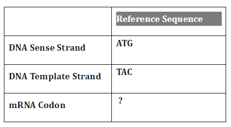 <p>What will be the sequence of the mRNA codon based on the table?</p>