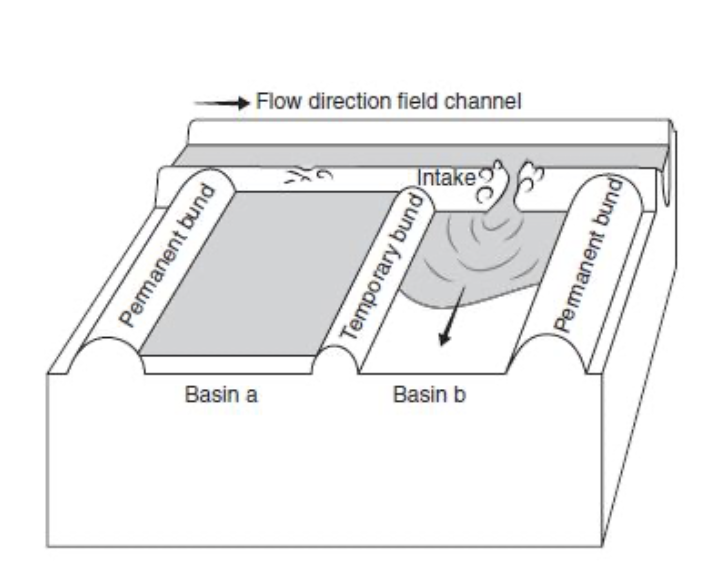 Figure 9.3 Flood irrigation.