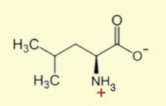 <p>draw an L then connect it to the CH<sub>2</sub></p><p>isobutyl</p>