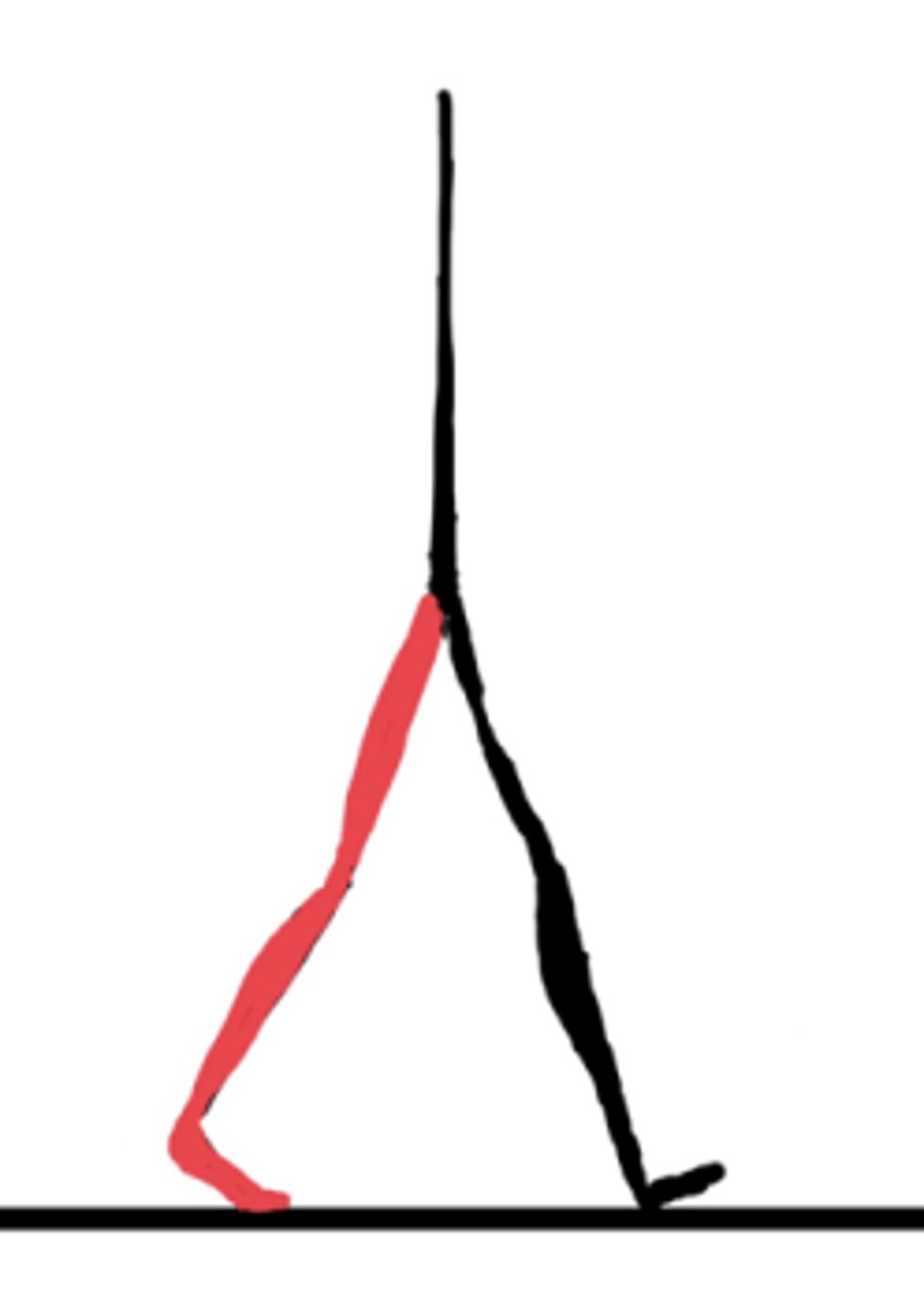 <p>50-60%</p><p>Starts at double limb support</p><p>Important for getting the reference limb into a "Trailing Limb Posture". This is an important position to begin the sudden change in direction of lower extremity flexion for ealy swing phase of gait.</p>