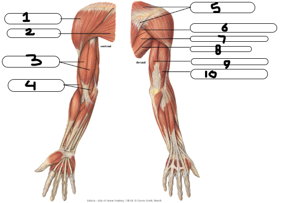 <p>Wat is 6? —&gt; PR5</p>