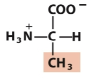 <p>Nonpolar, aliphatic</p>