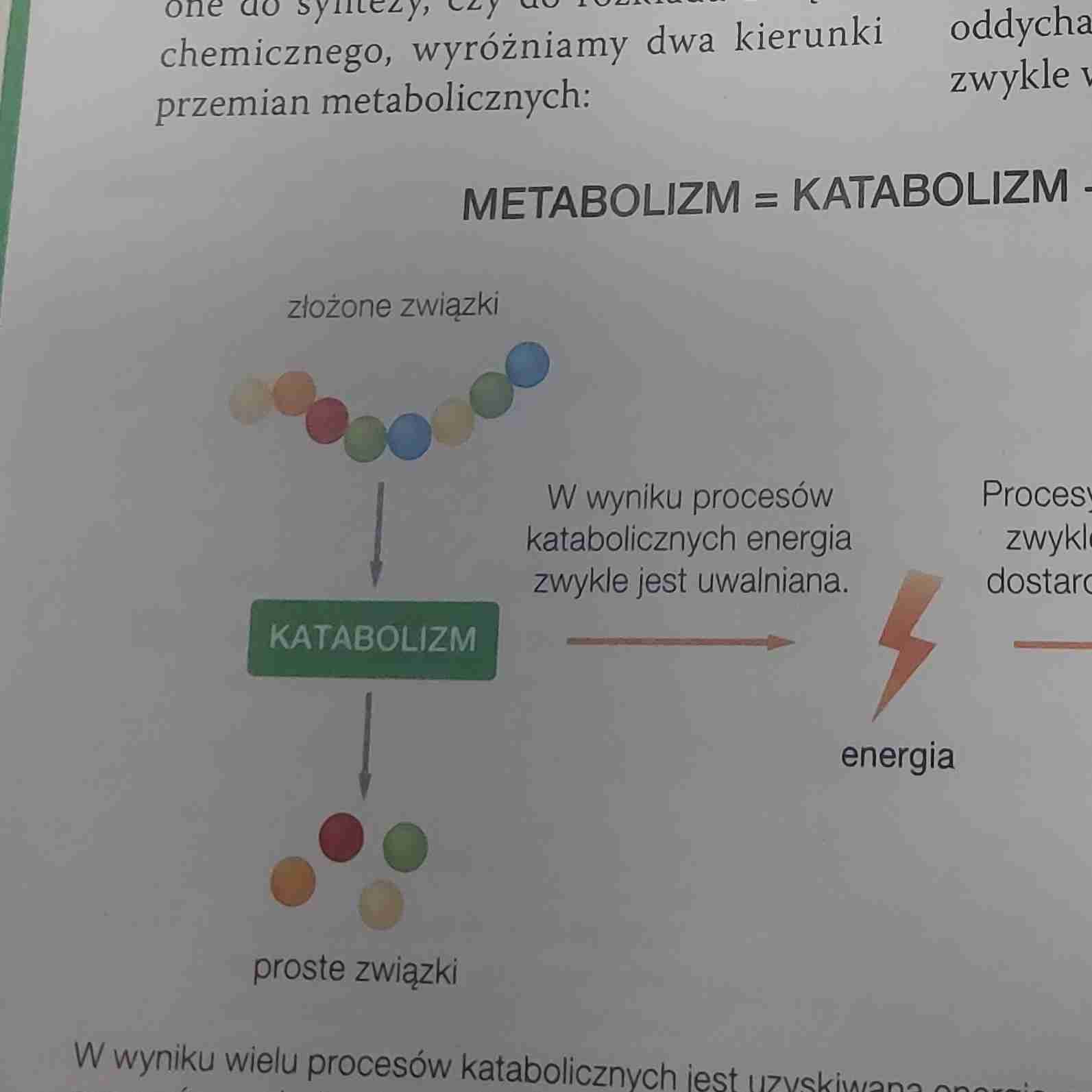<ul><li><p>Złożone &gt; proste związki</p></li><li><p>Uwalnia energie</p></li></ul>