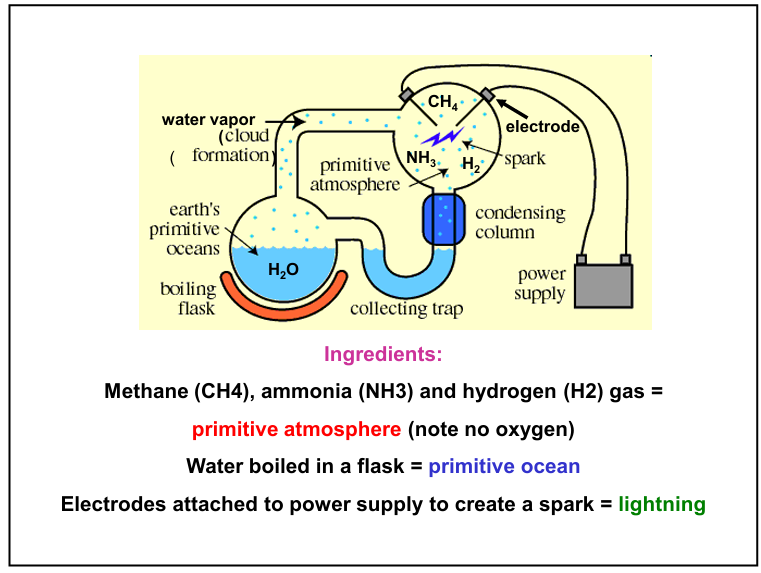 <p>Reducing Atmosphere (low oxygen) and Abundant methane and ammonia</p>