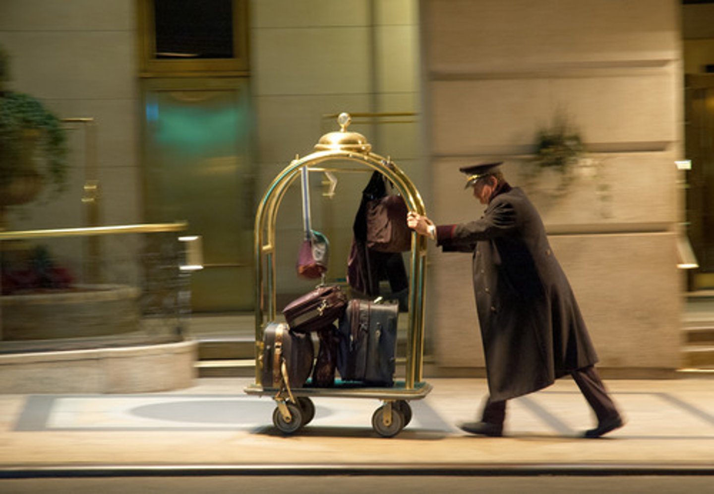 <p>bellhop</p>
