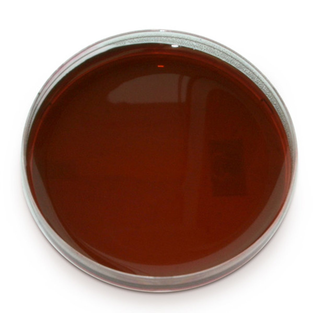 <p>What type of media is this?</p>