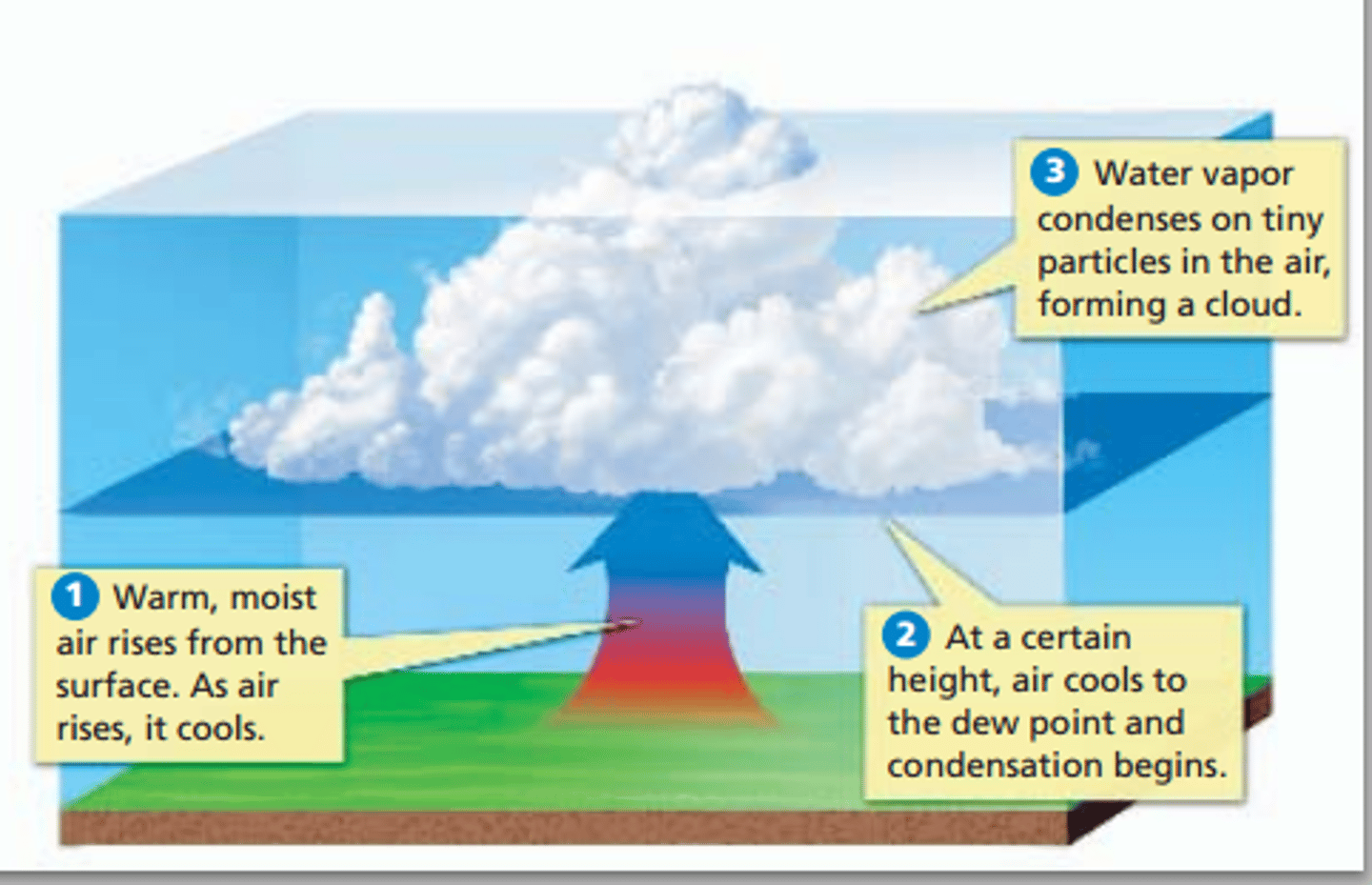 <p>- When air is saturated as it has cooled below the dew point or evaporation means air has reached maximum water holding capacity</p><p>- Condensation nuclei are present</p>