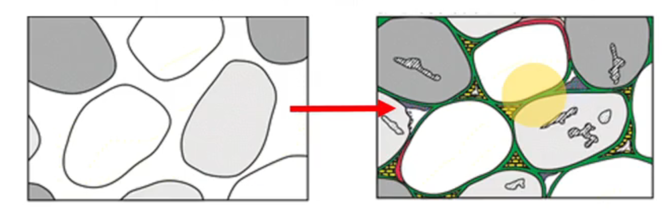 <p>Mineral growth in porous space between grains, ‘cement’ grains together</p><p>→ spaces can be reservoirs for oil, gas, etc</p>