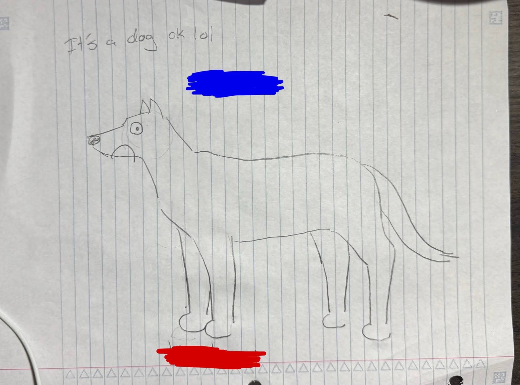 <p>What is the blue side?</p>
