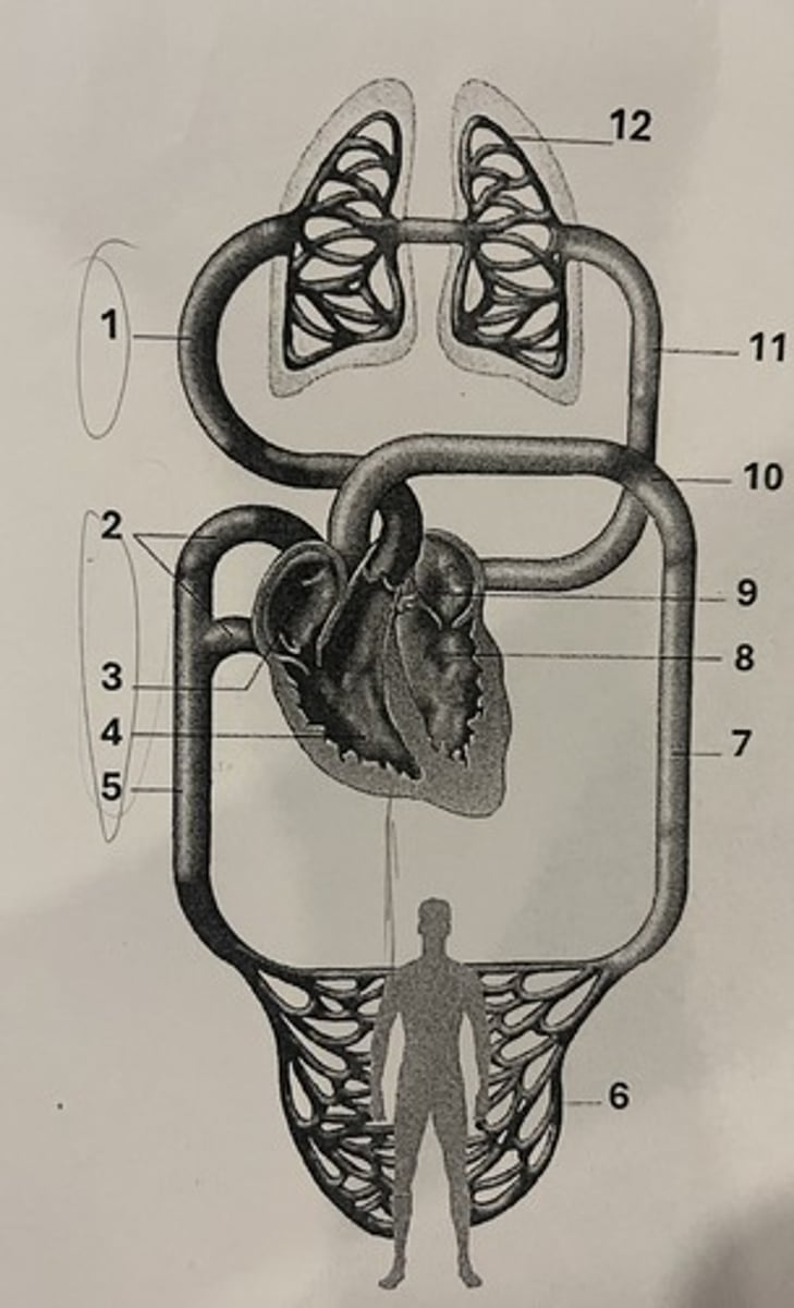 <p>1-5</p>