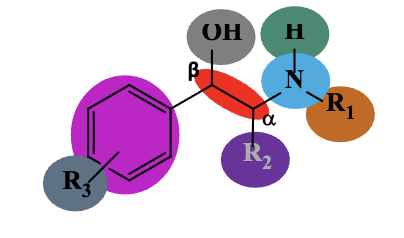 <p><mark data-color="#0ab1e8" style="background-color: rgb(10, 177, 232); color: inherit;">Basic Amine</mark><u><mark data-color="#ffffff" style="background-color: rgb(255, 255, 255); color: inherit;"> required </mark></u>for binding</p><ul><li><p>R1 on nitrogen: <u>larger </u>alkyl group increase specificity to <u>beta </u>receptor and<u> smaller </u>groups increase specificity for <u>alpha </u>receptor</p><ul><li><p>Bulky: iPr>Me>H</p></li><li><p>Small: H>Me>iPr</p></li></ul></li></ul><ul><li><p>H: must be a hydrogen; tertirary amine shows decreased activity due to steric hinderance.</p></li></ul><p>R2 on <mark data-color="#fe0000" style="background-color: rgb(254, 0, 0); color: inherit;">alpha carbon</mark>: small (H or Me) is required. A methyl substitution—> slow down MAO metabolism</p><ul><li><p><mark data-color="#fa0000" style="background-color: rgb(250, 0, 0); color: inherit;">beta carbon</mark>: hydroxyl is required for maximal binding: R>S</p></li></ul><p>R3 on <mark data-color="#fb00fa" style="background-color: rgb(251, 0, 250); color: inherit;">Benzene</mark>: 3,4 di-OH> 3-OH> 4-OH</p><ul><li><p>a benzene right shows best activity</p></li></ul><p>A two-atom side chain is required between the terminal amine and the aromatic ring</p>