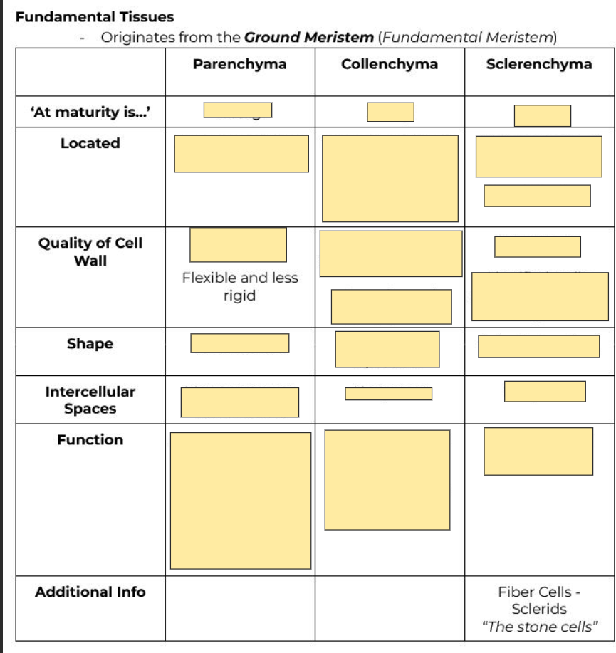 <p>Flexible and less rigid</p>