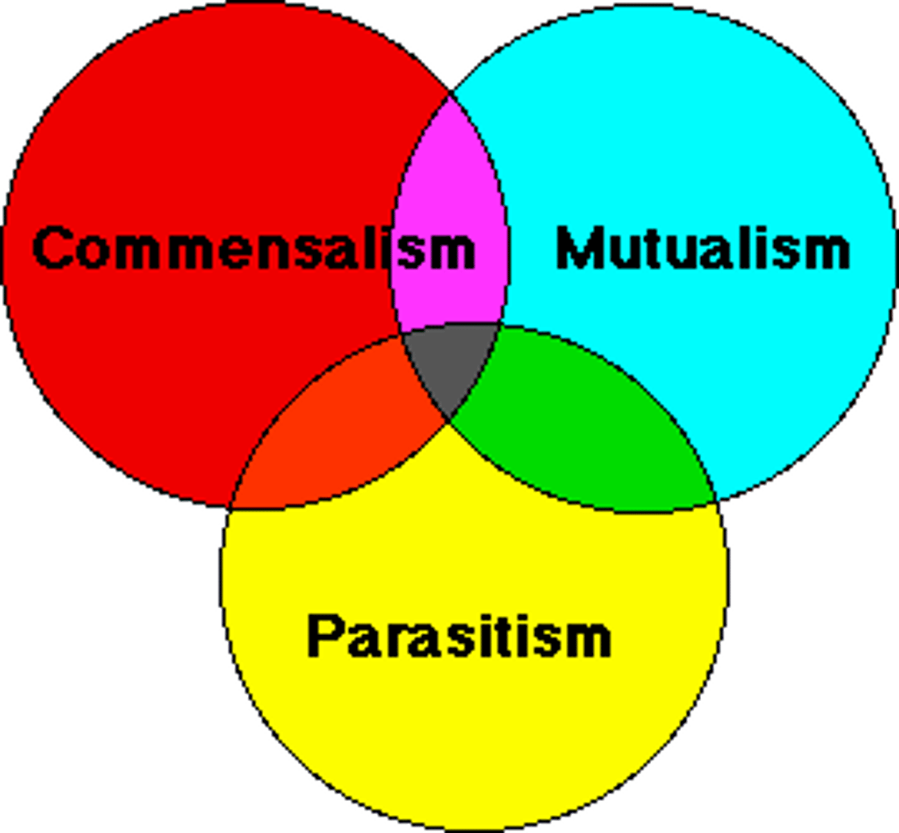 <p>interspecies interactions that includes mutualism, commensalism, and parasitism.</p>