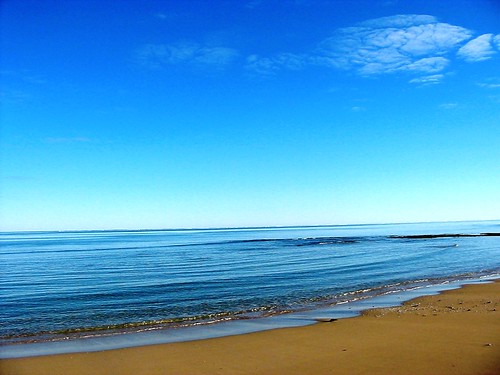 an ocean
