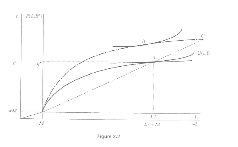 <p>AHM - model</p><ul><li><p>when separation doesnt hold i.e.</p><ul><li><p>no land market</p></li><li><p>surplus of labor</p></li></ul></li><li><p>HH no longer optimize separately between firm and HH</p><ul><li><p>if separation then end in C when land increase as CRTS</p></li><li><p>as doesnt hold →  end in B</p></li></ul></li></ul><p><strong>Intuition</strong></p><ul><li><p>Consider a household with more land than the HH at point A (new production function is the dot-dash line).</p></li><li><p>Assume they are facing the same wage/labor market constraints. Then the HH with more land should choose to produce and consume at point C given the same cultivation intensity.</p></li><li><p>If leisure is a normal good, point C will not be chosen. Optimum is at point B where the larger farm HH will cultivate less intensively (Lower L/E ratio).</p></li></ul>