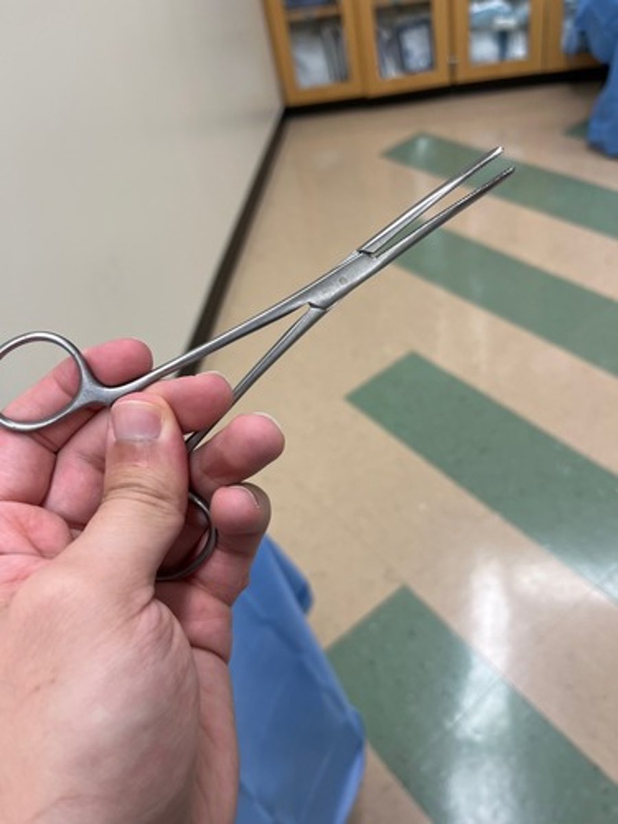 <p>Larger size variation of hemostat with similar function for grasping larger tissues or vessels.</p>
