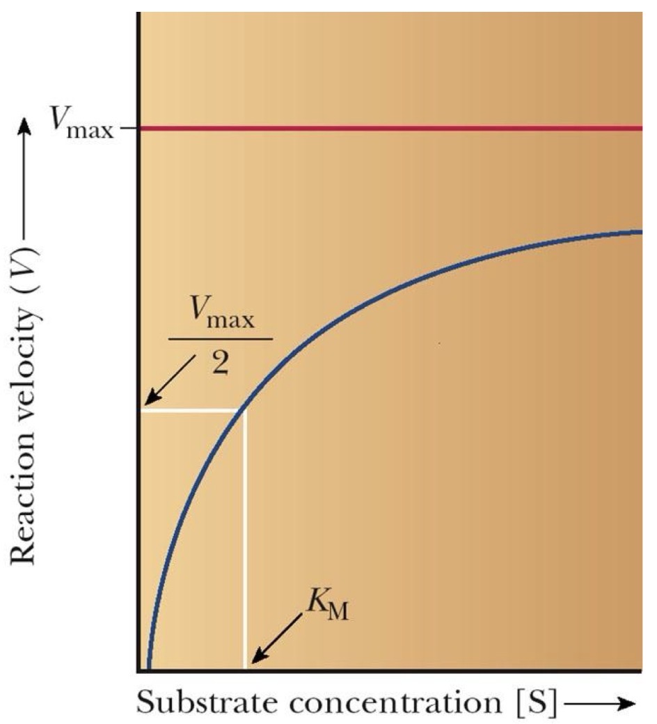 <p>Name that graph.</p>