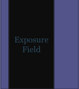 <p>Is this single exposure field ideal, permitted, or inappropriate?</p>
