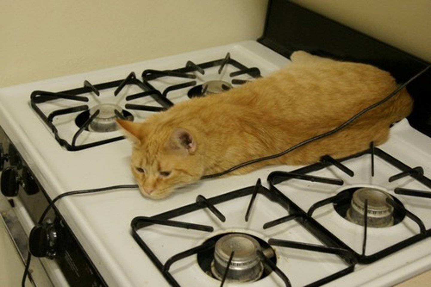 <p>stovetop, range</p>