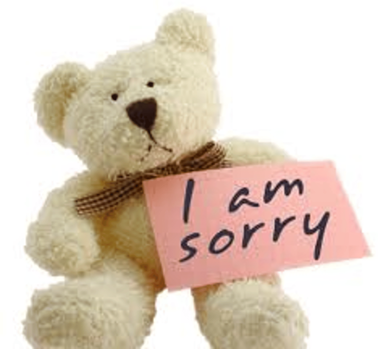 <p>I'm sorry</p>