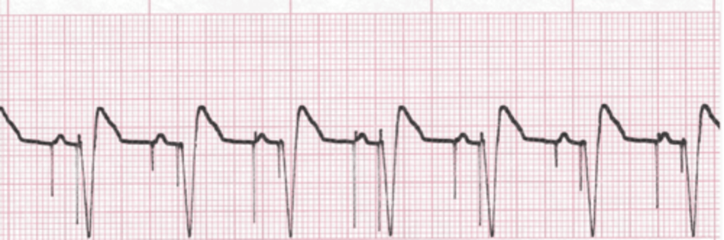 <p>What is this?</p>