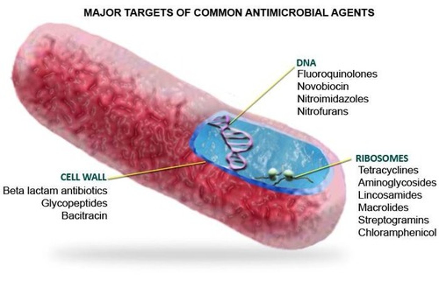 <p>It refers to antibiotics that kill bacteria.</p>