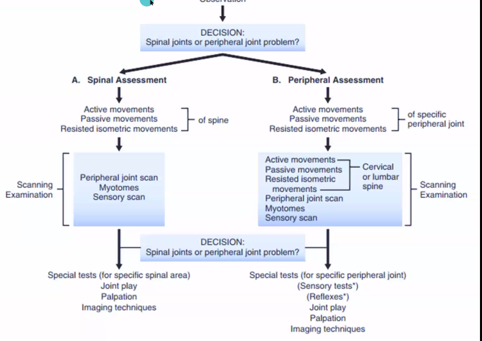<p><strong>Scanning</strong> Examination Guide (Type 1)</p>
