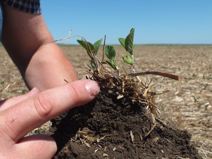 <p>Roughly 40% sand, 40% silt and 20% clay. Ideal for agriculture due to sand's drainage and porosity, clay's nutrient retention and silt keeping the other two together.</p>