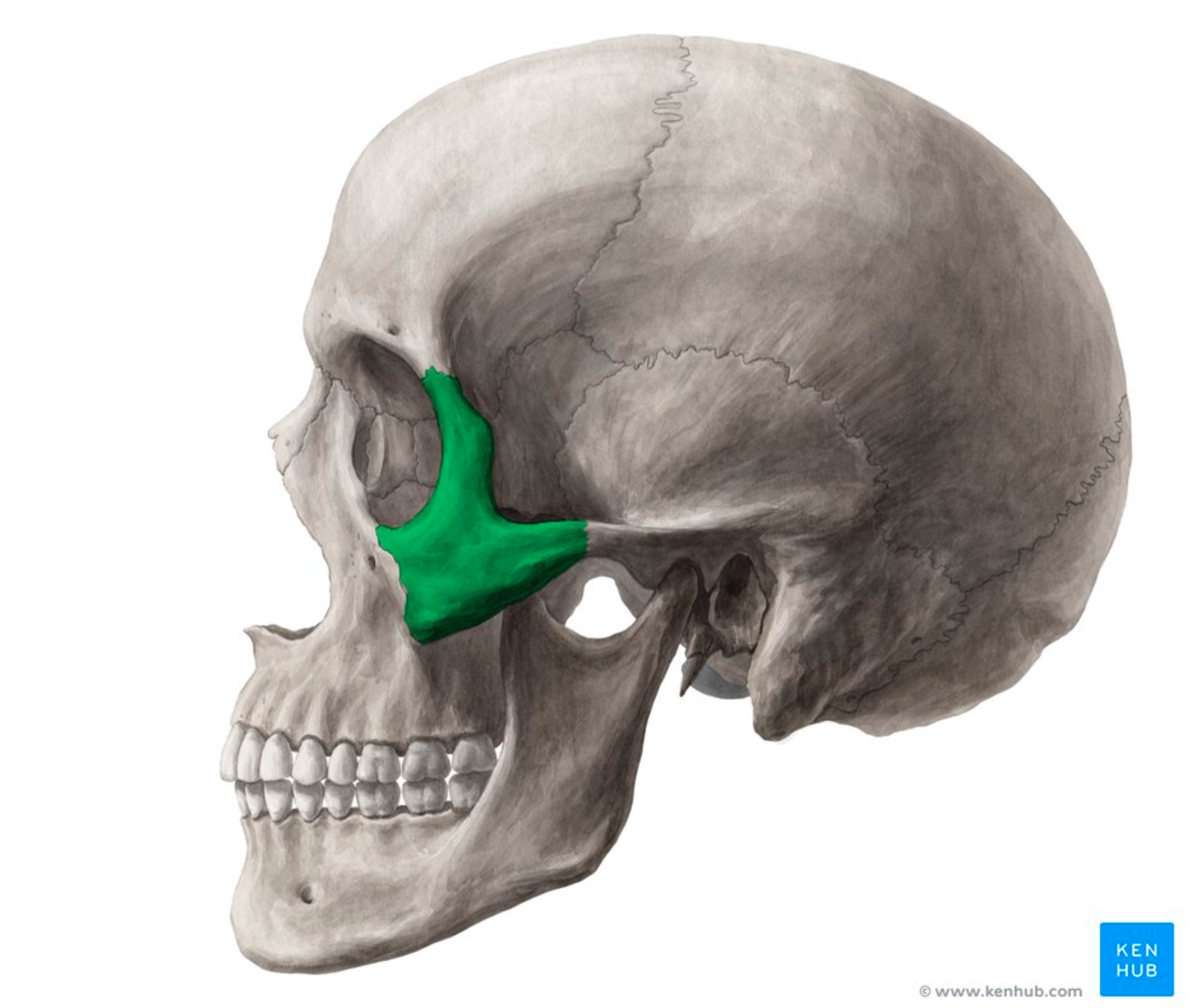 <p>What does this represent?</p>