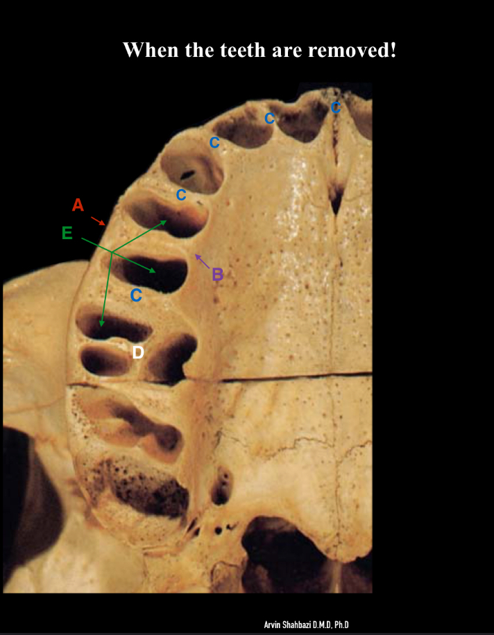 <p>label the letters </p>