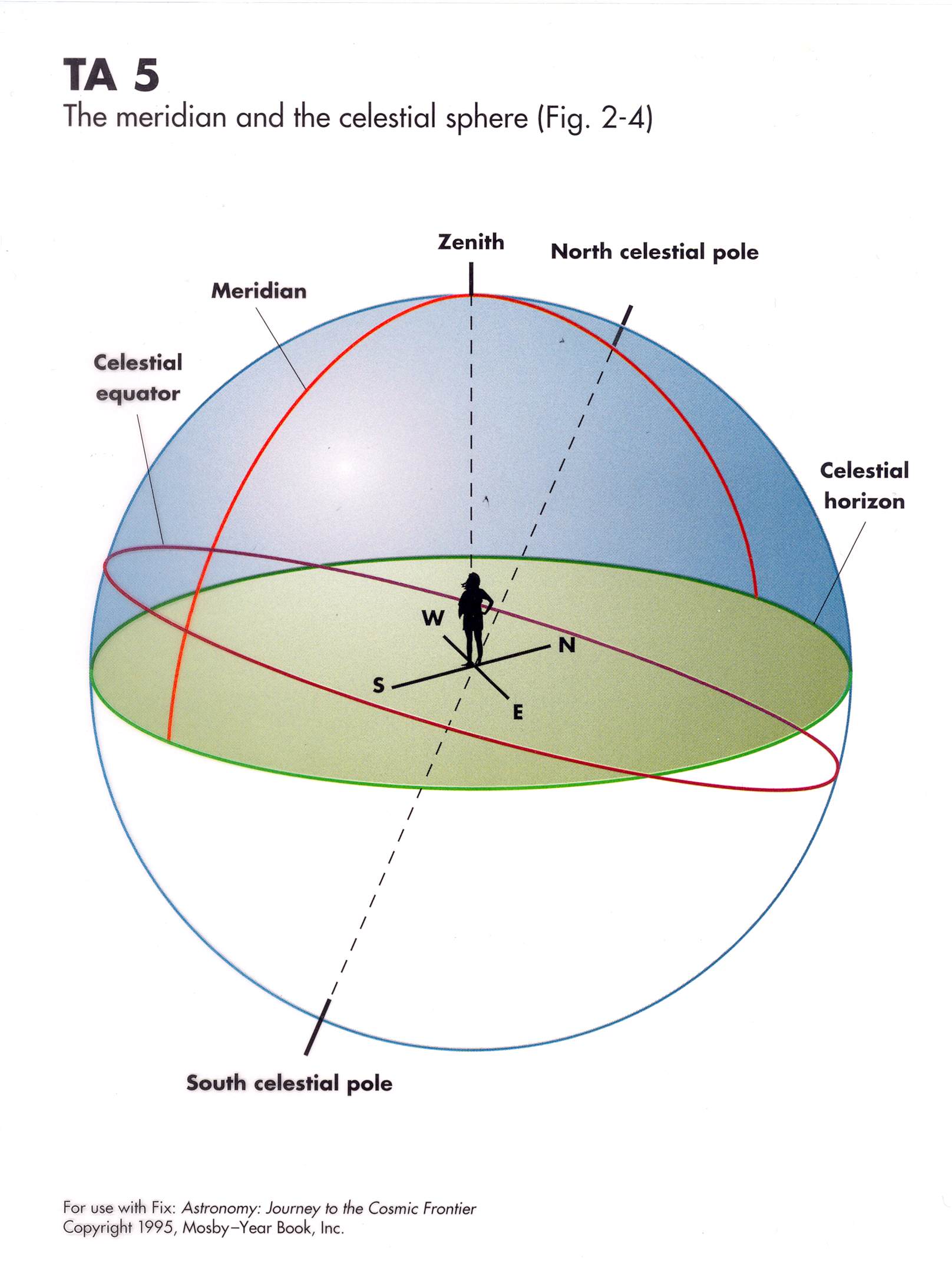 <p>a circular arc crossing the celestial sphere and passing through the local zenith and celestial pole</p>