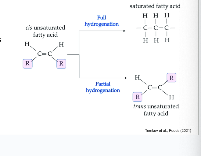 <p>by partial hydrogenation of cis fats</p><ul><li><p>hydrogenation occurs by adding hydrogen gas (H2)  to oil with <strong>high pressure and heat</strong></p></li></ul><p></p>