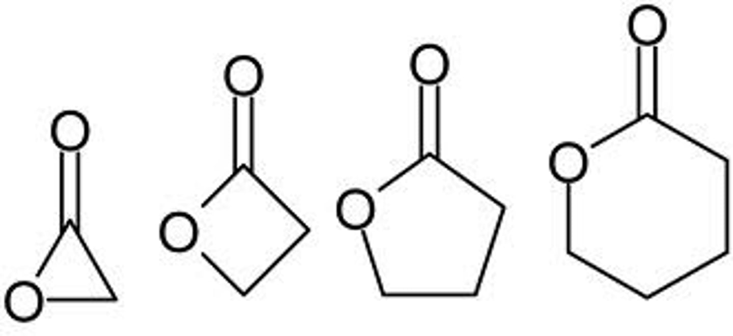<p>NON electrolyte</p><p>Cyclic ester</p><p>O-C=O MUST be in ring</p>