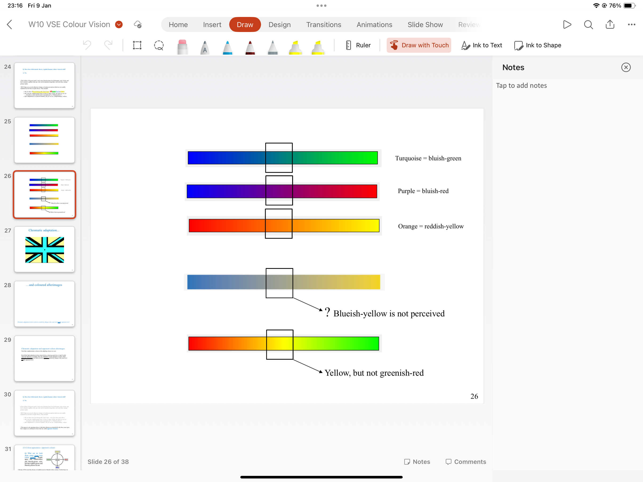 <p>Why there are 4 psychologically pure hues (red green blue yellow)</p><p>Why can’t the complementary hues co-exist</p><p>After adaptation to a coloured stimulus why do we see complementary colours</p>