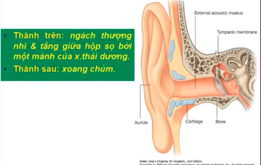 <ol><li><p>Hố hàm xương TD, khớp thái dương hàm dưới</p></li><li><p>Xoang chũm</p></li><li><p>Ngách thượng nhĩ, mảnh xương TD</p></li><li><p>Tuyến mang tai </p></li></ol><p></p>