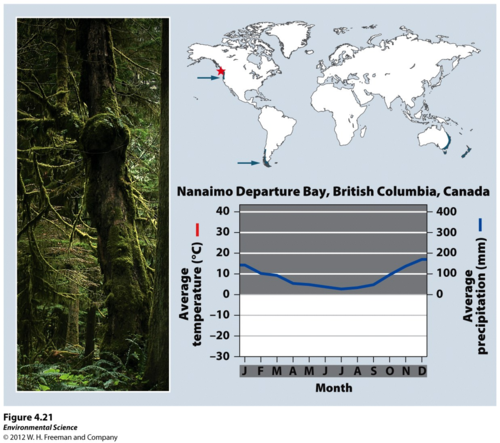 a coastal biome typified by moderate temperatures and high precipitation