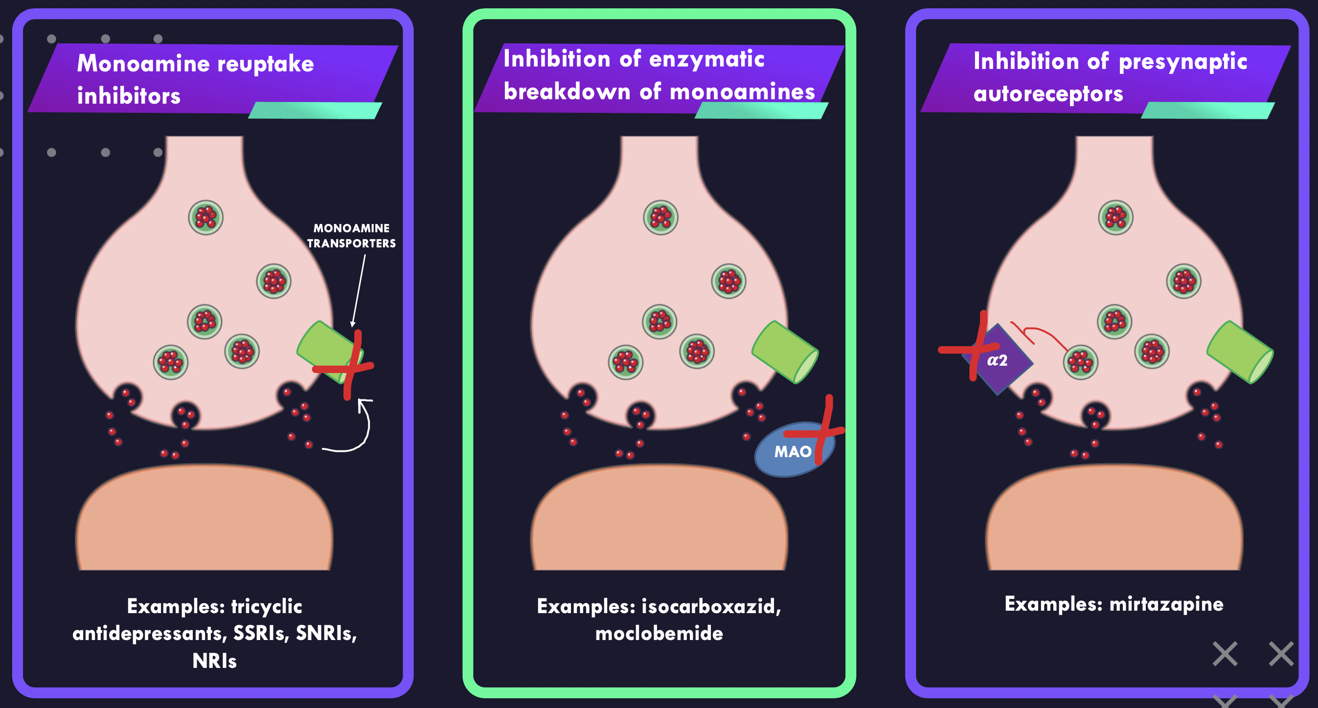 <p>Enhance monoaminergic activity in central synapses:</p><p>1.Inhibit monoamine reuptake</p><p>2.Inhibit enzymatic degradation</p><p>3.Block presynaptic autoreceptors</p>